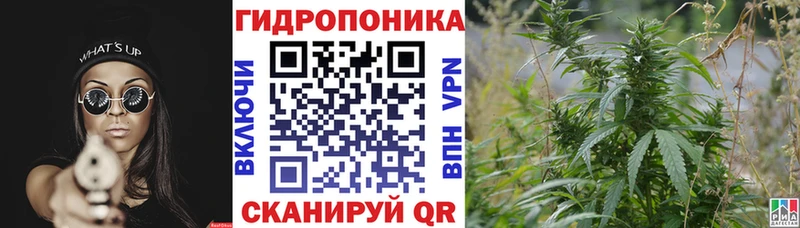 Шишки марихуана план  цена наркотик  сайты даркнета телеграм  Орёл 